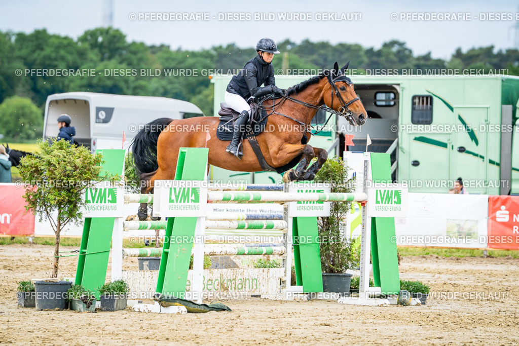 DSC04300 | Pferdegrafie