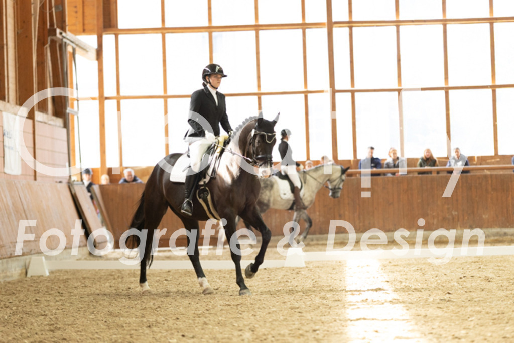 IMG_6117 | Creatify Fotografie