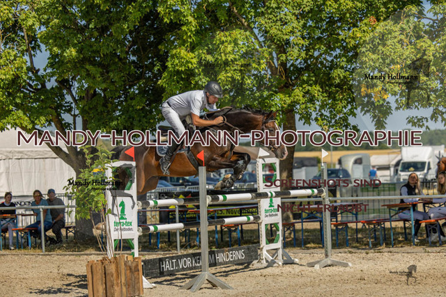26-7-24 SPF M+-287 | mandyhollmannphotographie