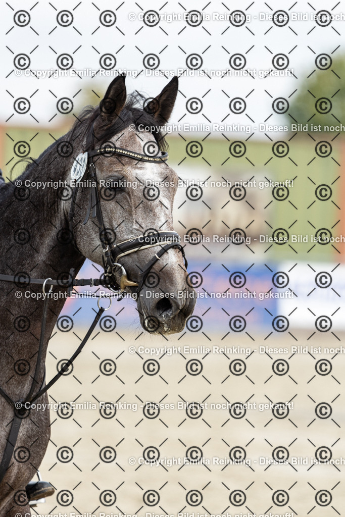 CL5A9283 | Emilia Reinking Fotografie - Realisiert mit Pictrs.com