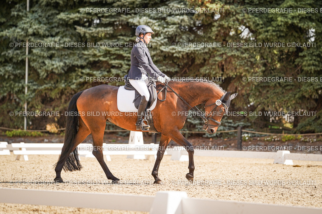 DSC00905 | Pferdegrafie