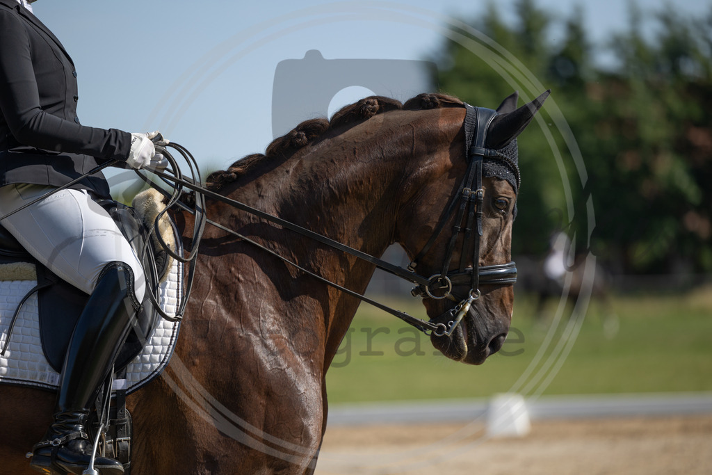 994A3747 | sabrinanicolaifotografie - Realisiert mit Pictrs.com