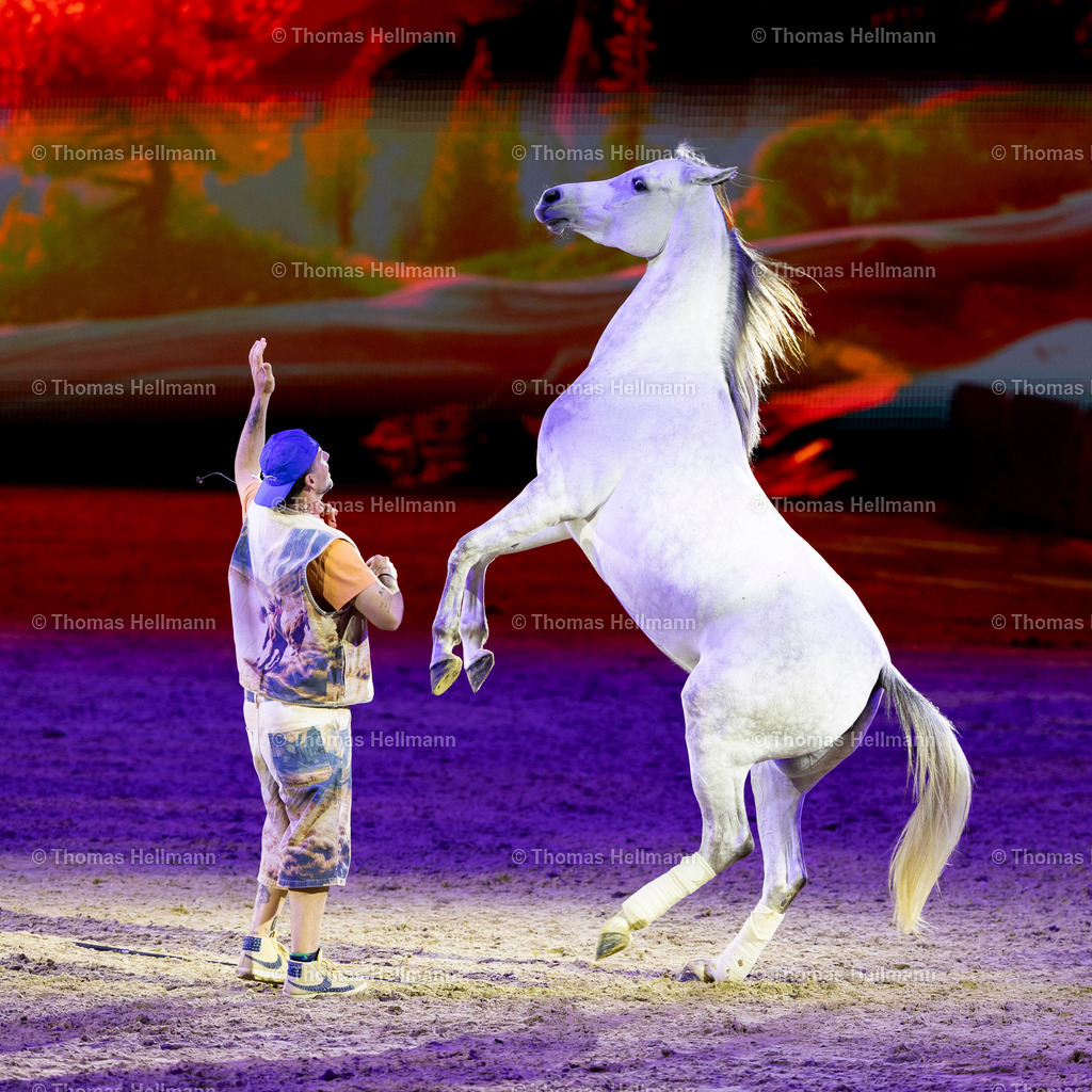 TH_Hop Top Show_26740 | EQUITANA 2025 am 07.03.25 in Essen