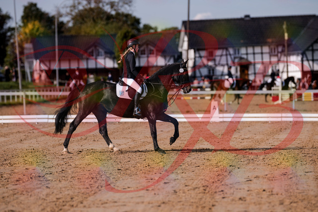 2026_10_03_Siefer-Hof_115614_Z81_96461788 | Professionelle Reitsport-, Turnier- und Eventfotografie von Robert Broda. Galerien mit ausgewählten und bearbeiteten Bildern direkt online ansehen und bestellen.