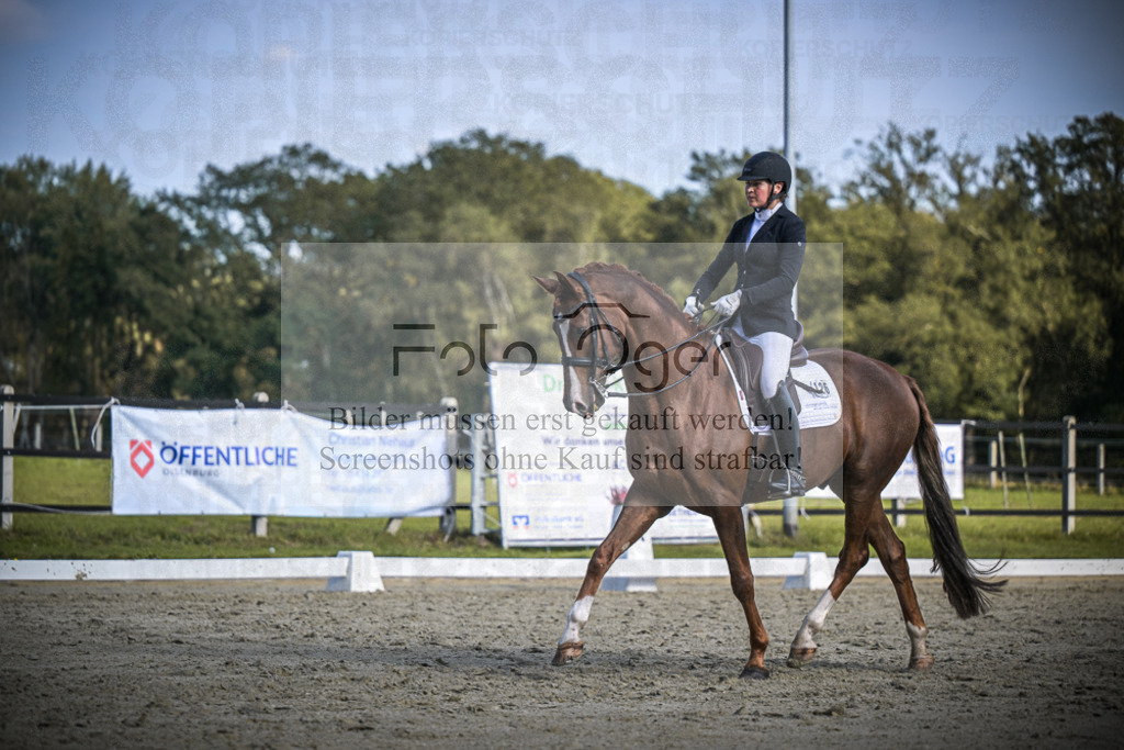 DOS_3667 | Entdecke hochwertige Reitturnierfotos von Foto Oger. Professionell, emotional und authentisch – jetzt Lieblingsmomente im Shop bestellen.Deutschlandweite Turnierfotografie. - Realisiert mit Pictrs.com