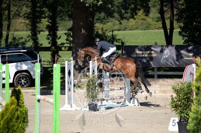 2B4A0589 | pixelfaenger - Realisiert mit Pictrs.com