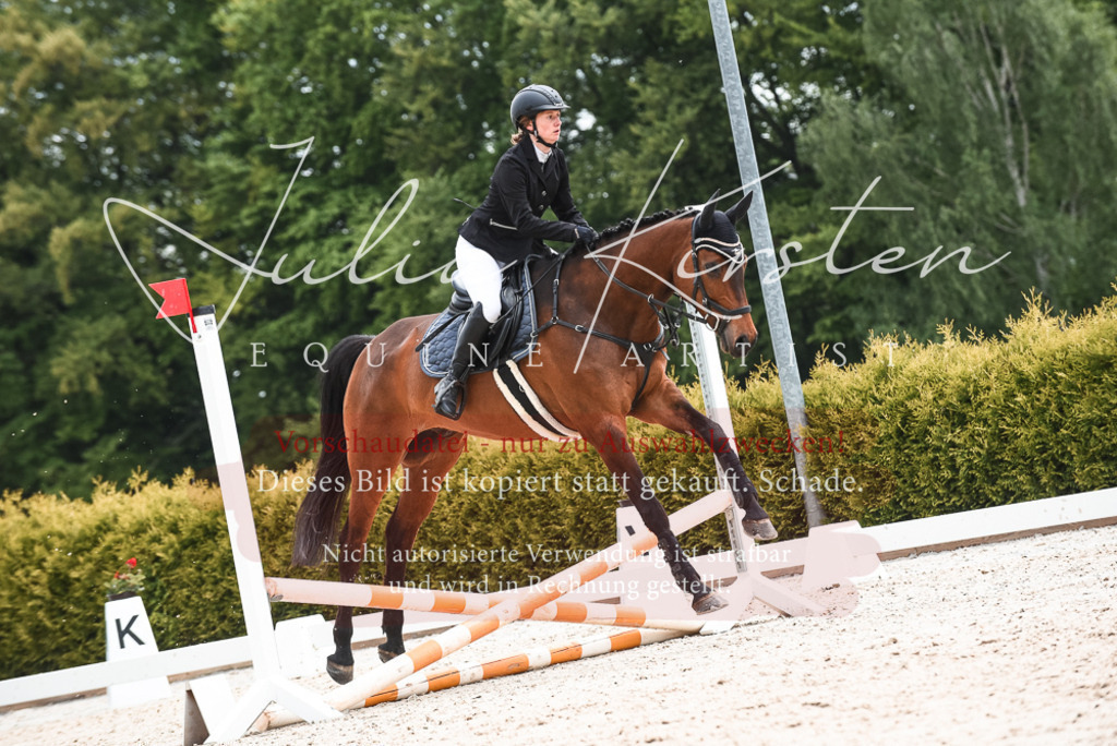 20230518_JK-Röhrsdorf-10-347 | Pferde- und Turnierfotografie in Westsachsen. Pferdeportraits, Auftragszeichnungen und intuitive Kunst.