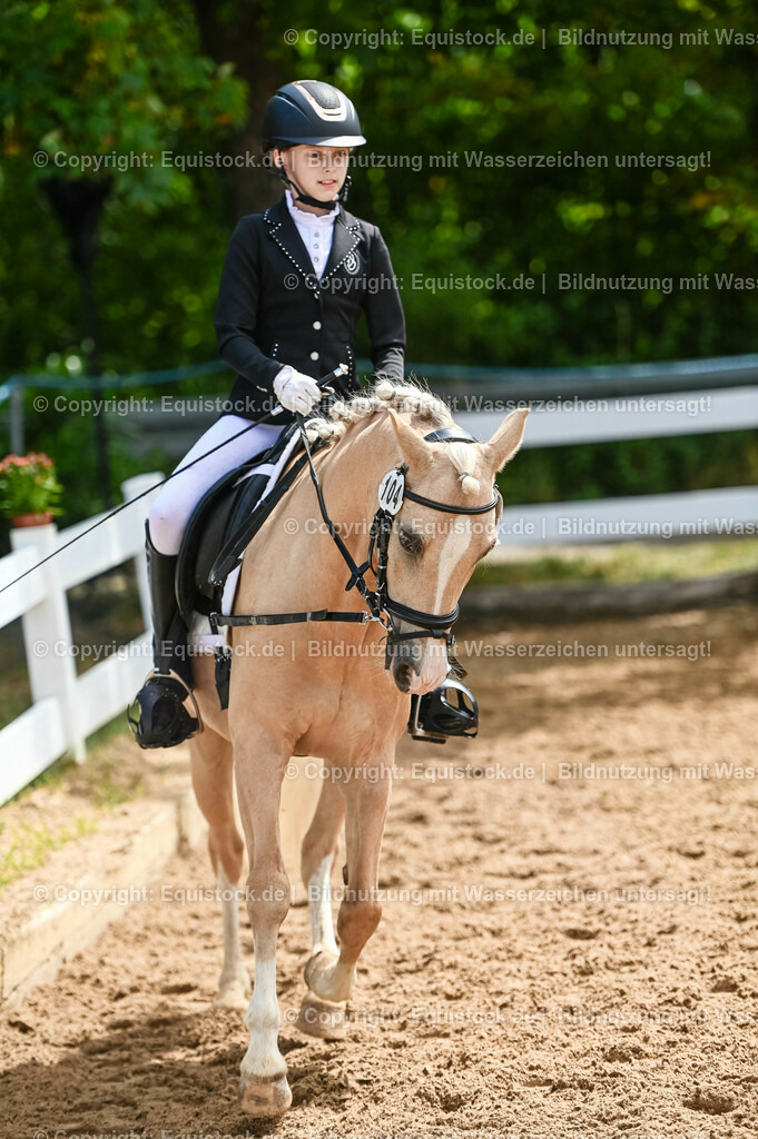20230716_10-3_Reiter-WB Schritt - Trab - Galopp_0118 | equistock