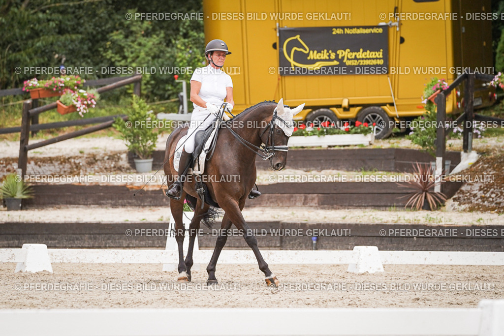 DSC06351 | Pferdegrafie