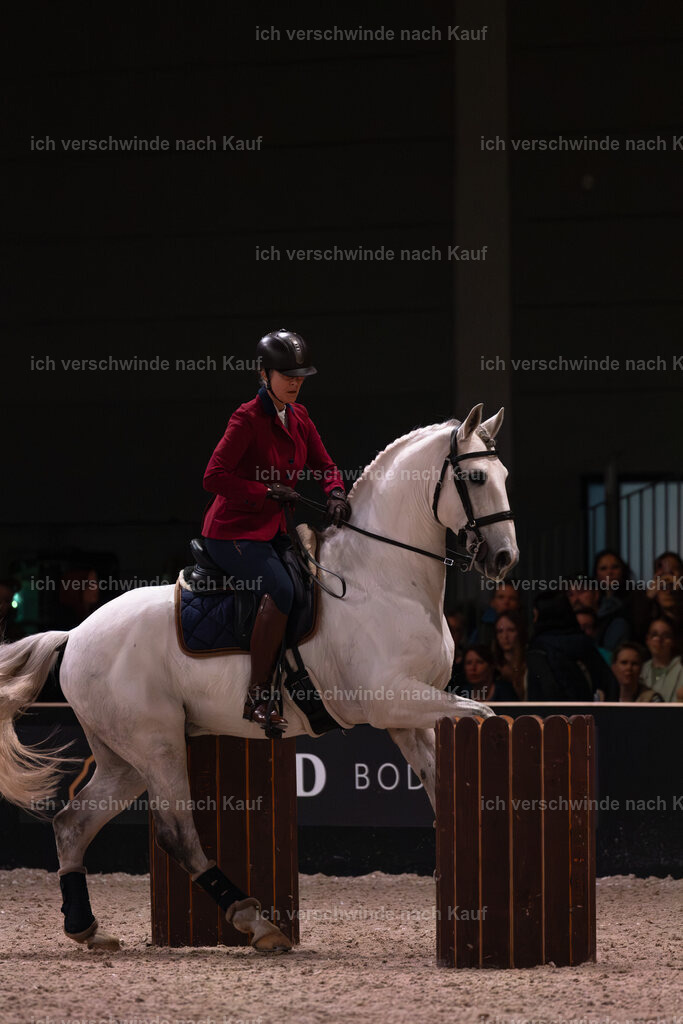 JoseraCup-103 | working equitationturnier fotograf videograf stoibphotography marixx film working equitation deutschland reitsport turnierfotografie eventfotografie equestrian events