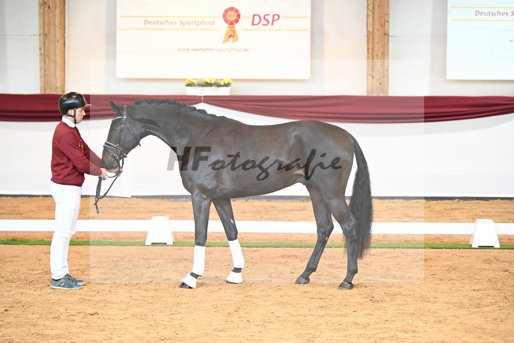 Kat-Nr. 40 v. Lord Europe_Bergmann_66221861 | hf-fotografie - Realisiert mit Pictrs.com