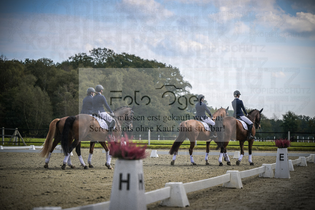 DOS_0563 | Entdecke hochwertige Reitturnierfotos von Foto Oger. Professionell, emotional und authentisch – jetzt Lieblingsmomente im Shop bestellen.Deutschlandweite Turnierfotografie. - Realisiert mit Pictrs.com