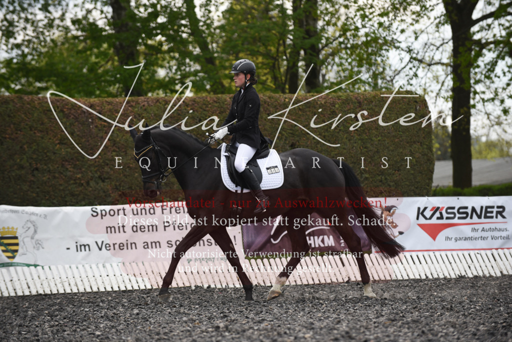 20230513_JK-Röhrsdorf-16-010 | Pferde- und Turnierfotografie in Westsachsen. Pferdeportraits, Auftragszeichnungen und intuitive Kunst.