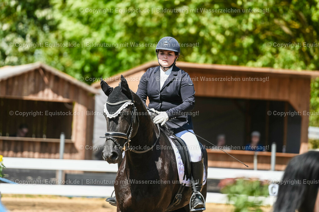 20230715_02_Dressurreiterprüfung Kl.L_0192 | equistock
