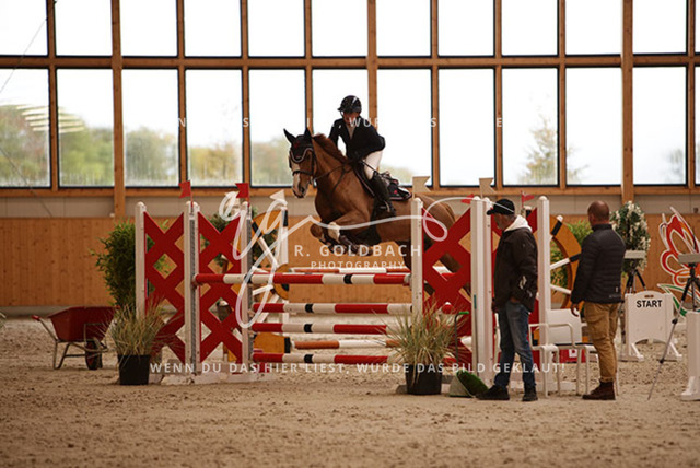 1J2A4427Lilli Plath_ Butler of Picobello Z_ Kn039_ Hohen Wieschendorf_ Glantz | Foto- und Videografie für alles rund ums Pferd. Hochwertige Bilder und Videos vom Spring- und Dressurreiten, Voltigieren & mehr. Jetzt aktuelle Veranstaltungen und Preise im Shop ansehen. - Realisiert mit Pictrs.com