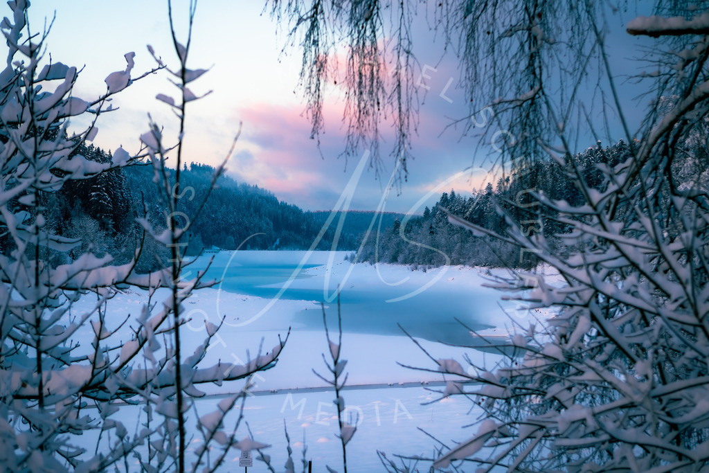 2021-01-15 Schwarzwald Kniebis Nagoldtalsperre-41 | Die Nagoldtalsperre im Schnee - Realisiert mit Pictrs.com