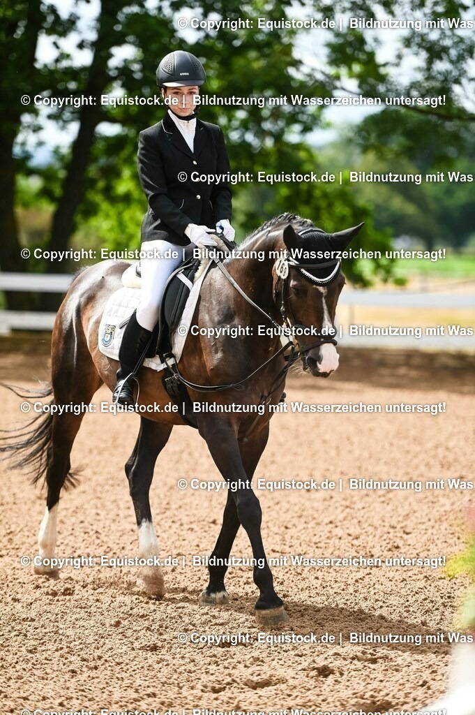 20230716_10-1_Reiter-WB Schritt - Trab - Galopp_0121 | equistock