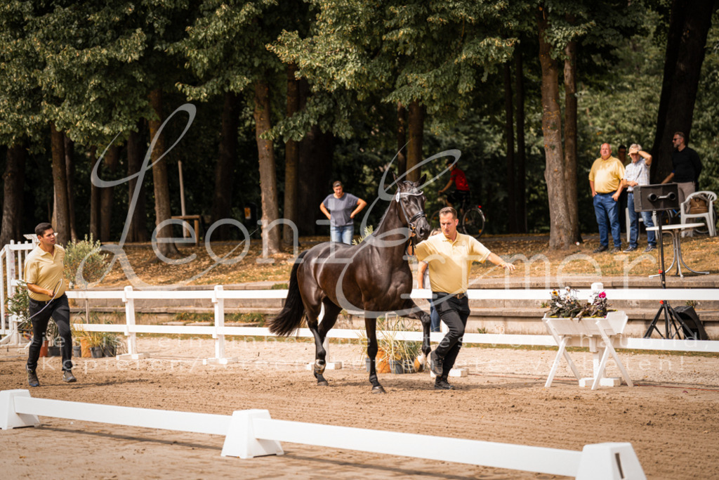 4.Fr00127 | Leoni Ertmer Photography - Realisiert mit Pictrs.com