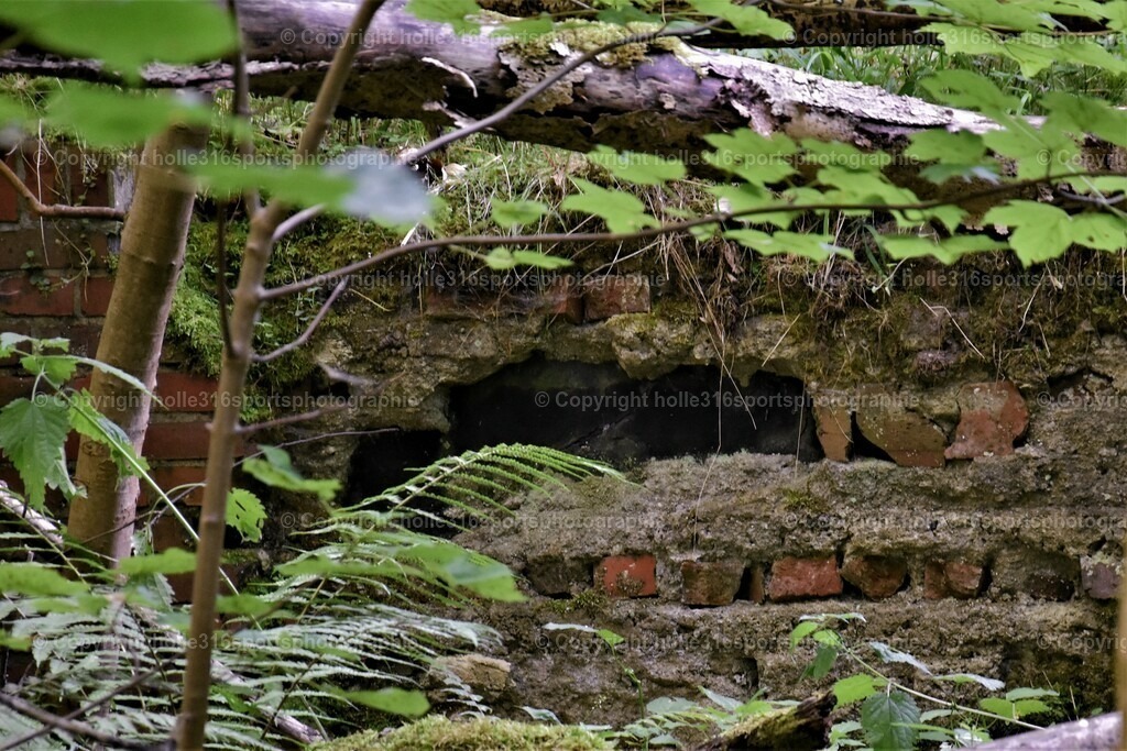 DSC_0025 (2) | Sportfotografie , Motorsport, Motoross, Reitsport, Mointainbike, Enduro,
Landschaft , Outdoor, Eventfotografie, Landschaft, Bilder online bestellen - Realisiert mit Pictrs.com