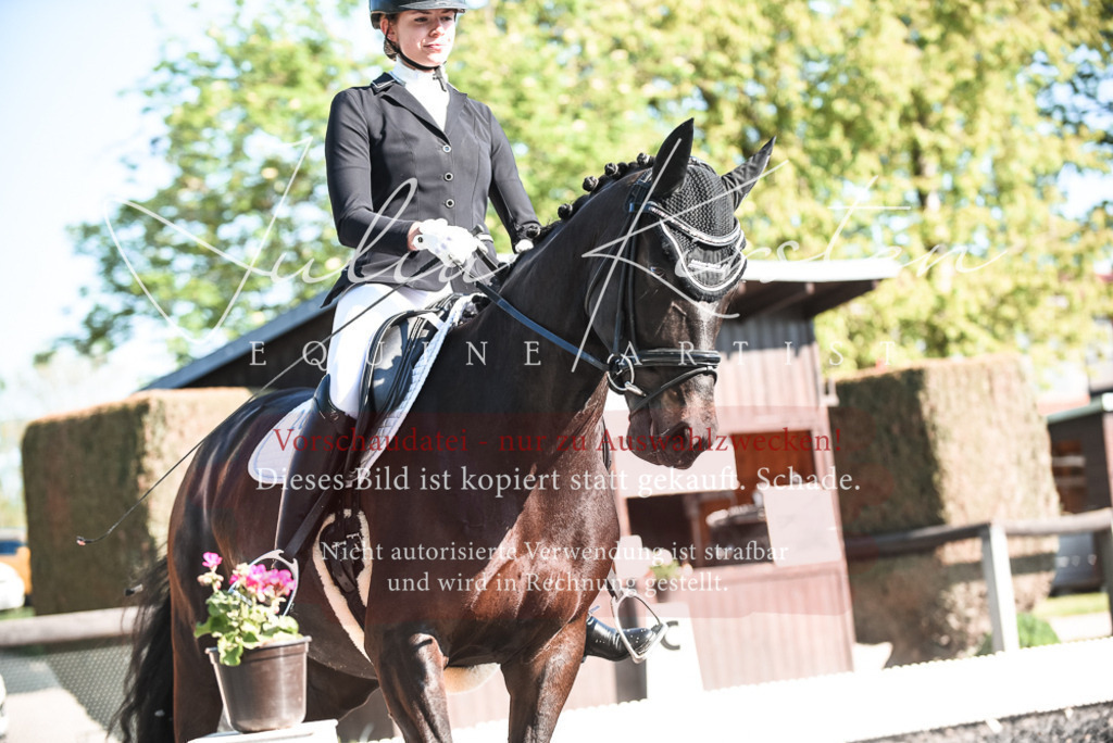 DSC_8365 | Pferde- und Turnierfotografie in Westsachsen. Pferdeportraits, Auftragszeichnungen und intuitive Kunst.