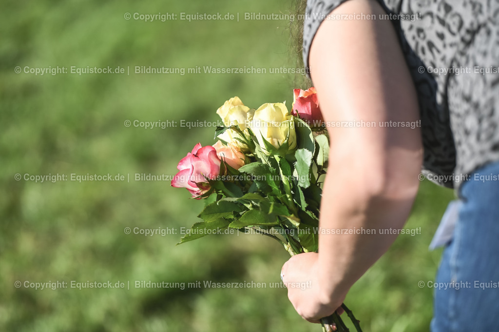 20230908_14-15_Springpferde-A_0112 | equistock