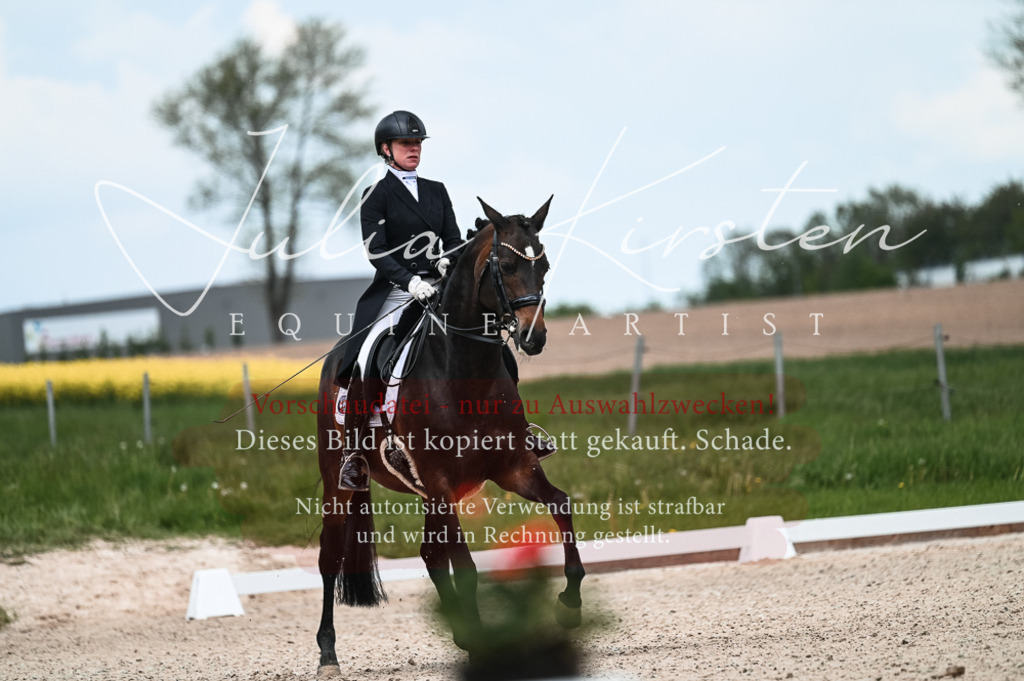 20230514_JK-Röhrsdorf-21-083 | Pferde- und Turnierfotografie in Westsachsen. Pferdeportraits, Auftragszeichnungen und intuitive Kunst.