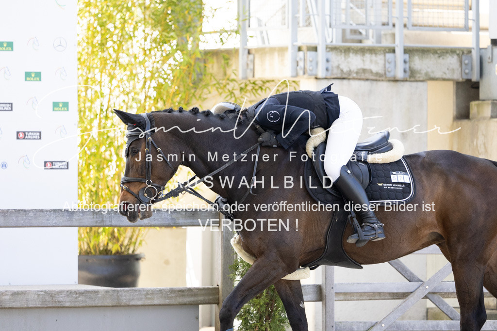 126A1493 | jasminmetznerfotografie