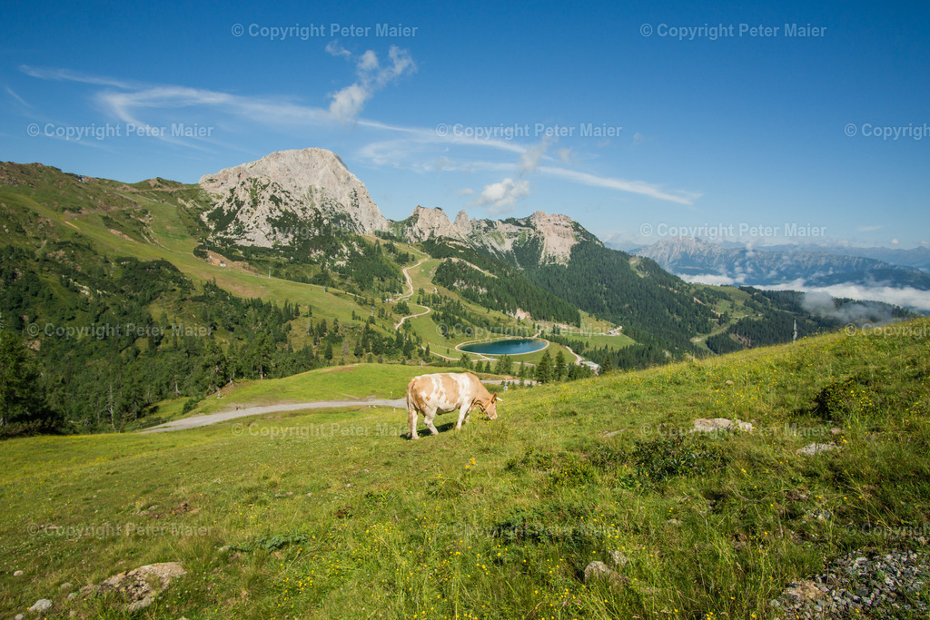 falkensteiner carinthia tag 2-37 | piet_flosse