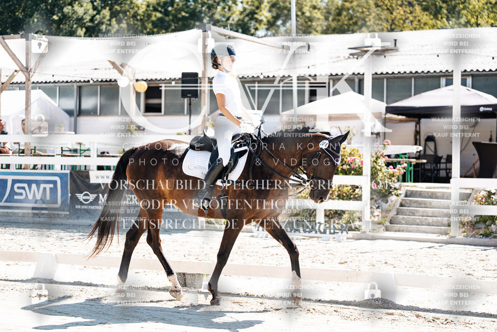 CK902196 | Turnierfotografie Pferdefotografie Trier Rheinland-Pfalz Pferdesport Reitsport Tierfotografie Sportfotografie Pferdevideo Pferdevideografie Equestrianvideography equestrianphotography  - Realisiert mit Pictrs.com