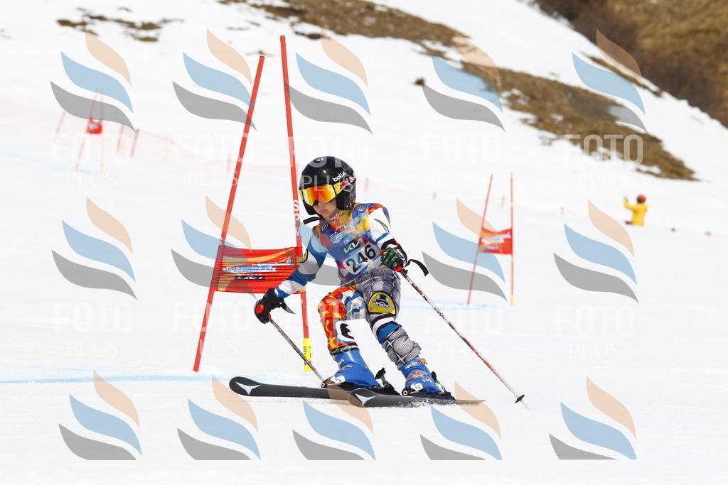 _U3G6227 | holidayphoto