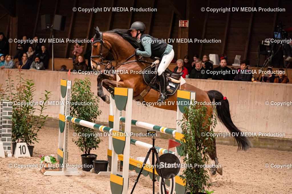 Springen Tag 2-705 | dv-media-shop - Realisiert mit Pictrs.com