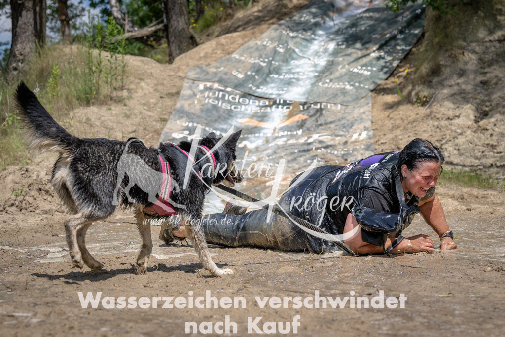 1419_ZZ94264 | kk-dogfotos