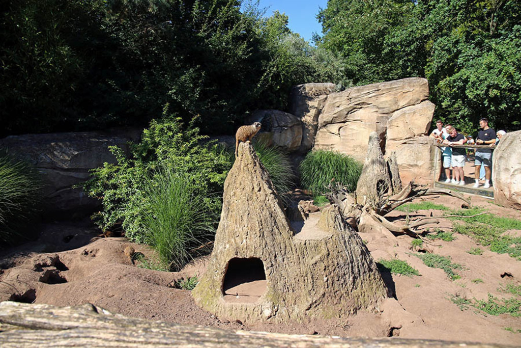 Foto: Leipzig - Zoo | Das Team hinter BILDLEXIKON LEIPZIG bündelt historische wie aktuelle Informationen über die Stadt Leipzig in Text und Bild auf einer Plattform und stellt diese der interessierten Öffentlichkeit zur Verfügung.