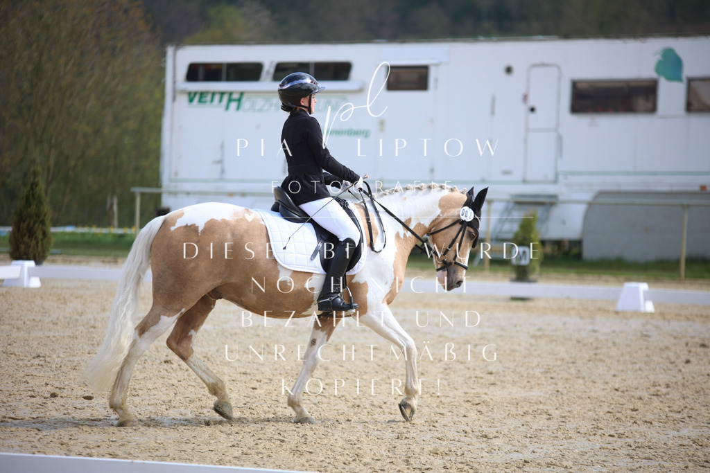 IMGT4306 | pl-fotografie