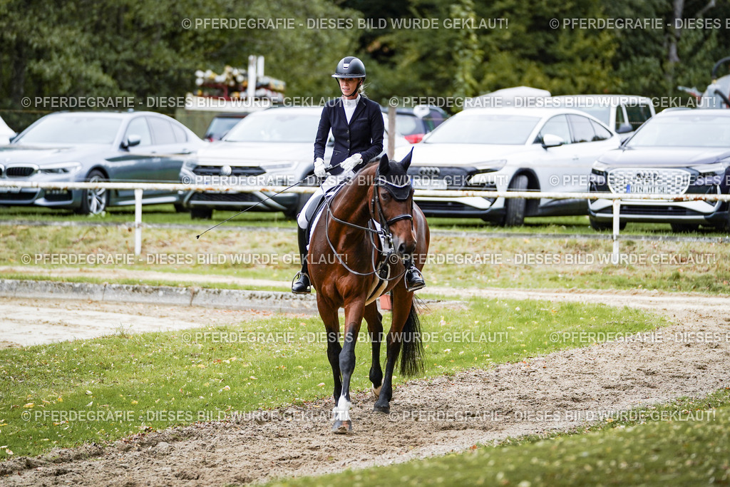 DSC09326 | Pferdegrafie