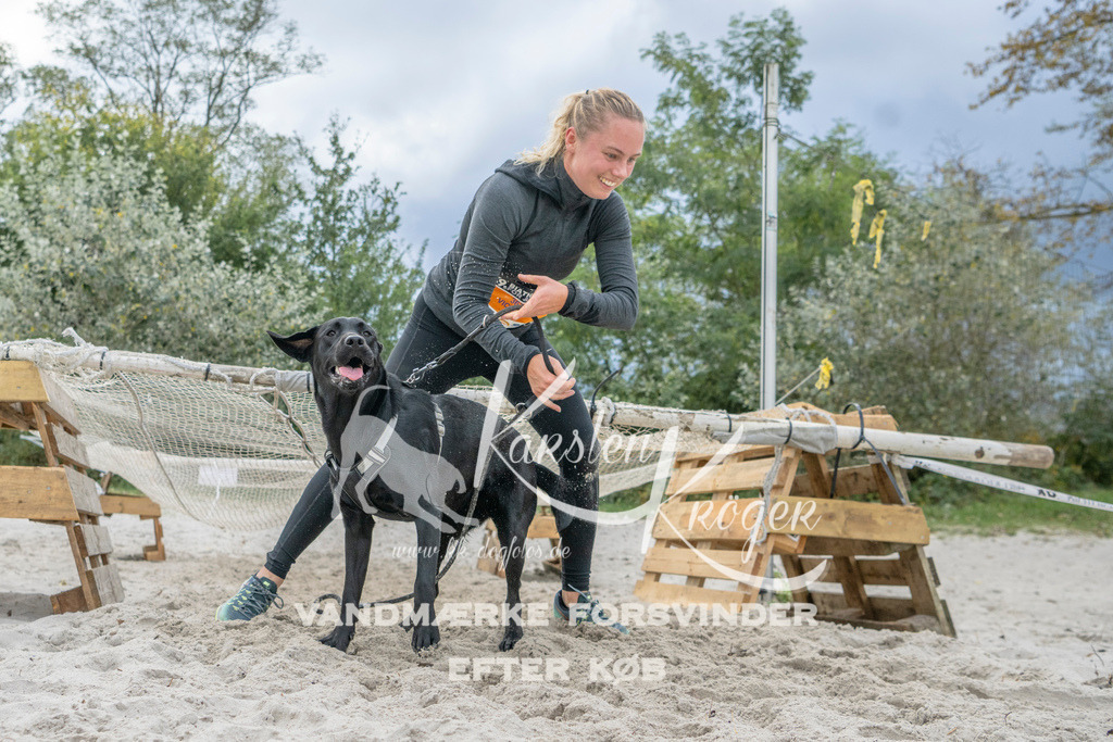 1130_ZZ97449 | kk-dogfotos