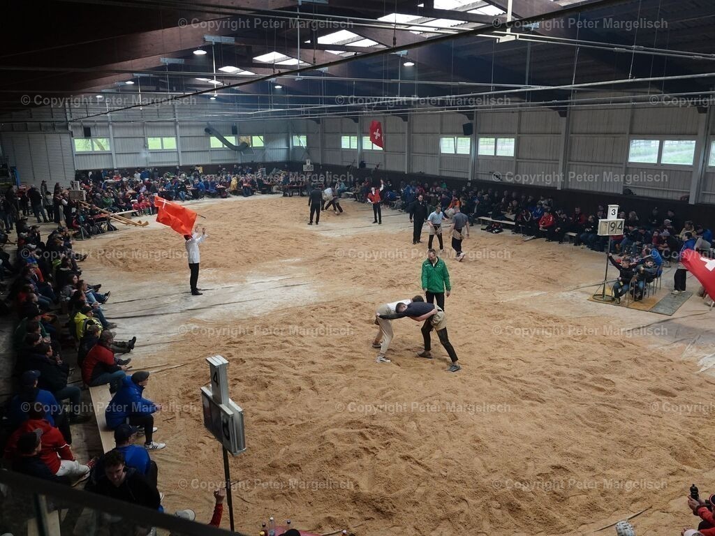 k-DSC06138 | Schwingen - Realisiert mit Pictrs.com