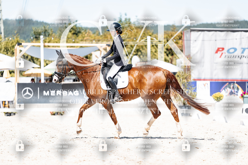 CK900525 | Turnierfotografie Pferdefotografie Trier Rheinland-Pfalz Pferdesport Reitsport Tierfotografie Sportfotografie Pferdevideo Pferdevideografie Equestrianvideography equestrianphotography  - Realisiert mit Pictrs.com