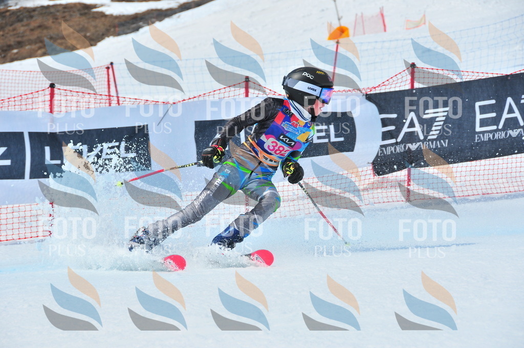 DSC_7233 | holidayphoto