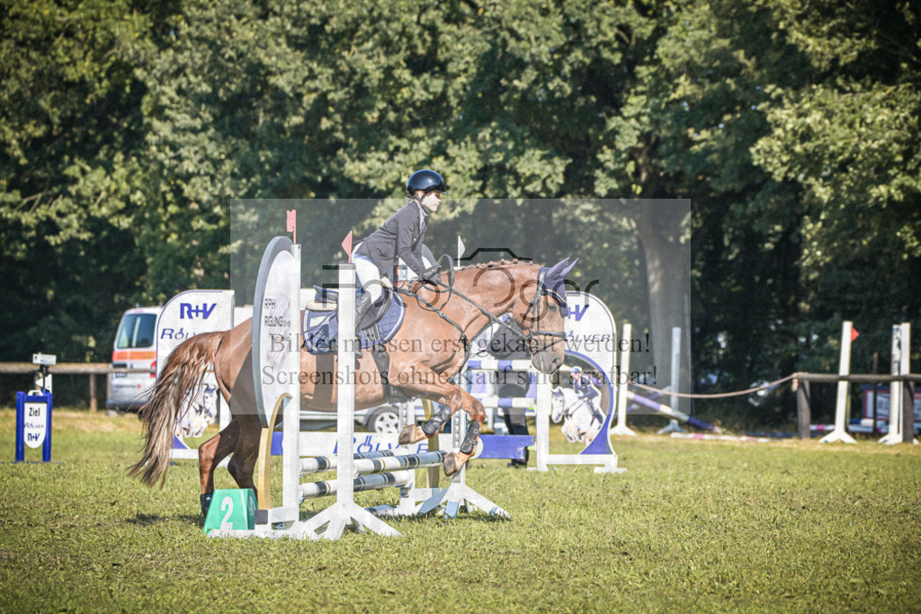 DOS_0426 | Entdecke hochwertige Reitturnierfotos von Foto Oger. Professionell, emotional und authentisch – jetzt Lieblingsmomente im Shop bestellen.Deutschlandweite Turnierfotografie. - Realisiert mit Pictrs.com