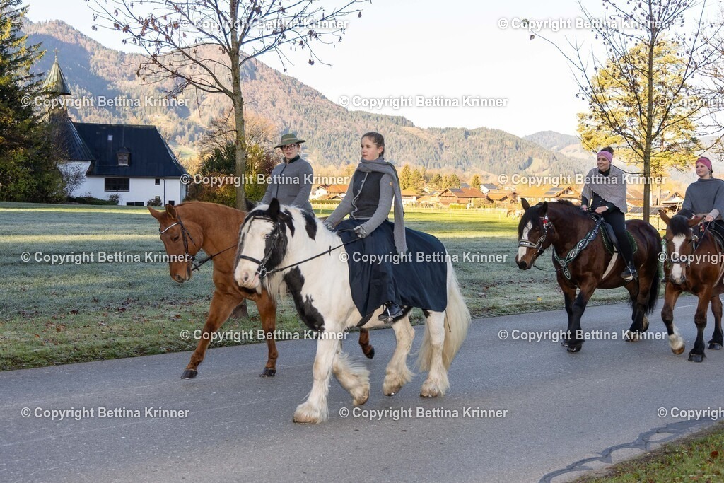 LL24-132 | foto-bettina-krinner - Realisiert mit Pictrs.com