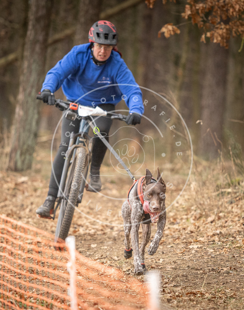 Pfotenfotografie_DV3A3292 | Hundefotografie, Tierfotograf, Pfotenfotografie, Fotoshooting Hund, Hunde Portrait, Hundesport, Hundeportraits, Heideshooting, Hunde, Sportfotograf, Hundefotograf, Turnierhundsport, THS,  - Realisiert mit Pictrs.com