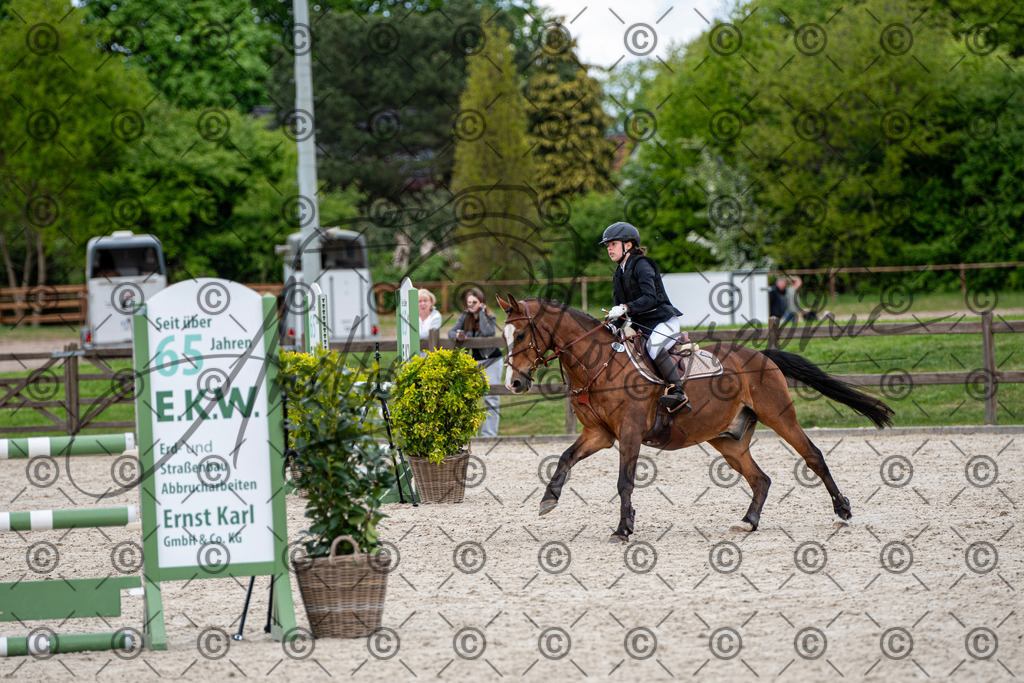 KPT_6390 | andre_photographic