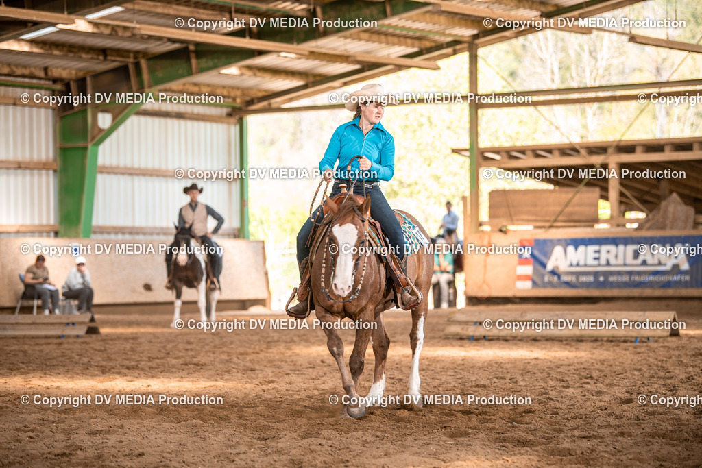 Balingen Tag 4-730 | dv-media-shop - Realisiert mit Pictrs.com