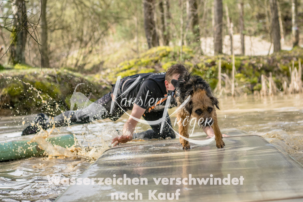 1003_ZZ92354 | kk-dogfotos