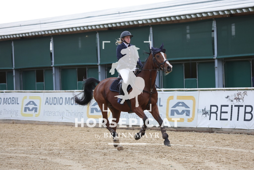 0P6A5083 | Willkommen bei Brunnmayr - Design & Fotografie – Ihrem Spezialisten für Reitturniere und Pferdeveranstaltungen in Oberösterreich, Salzburg und Bayern! Seit über 17 Jahren sind wir leidenschaftlich dabei.