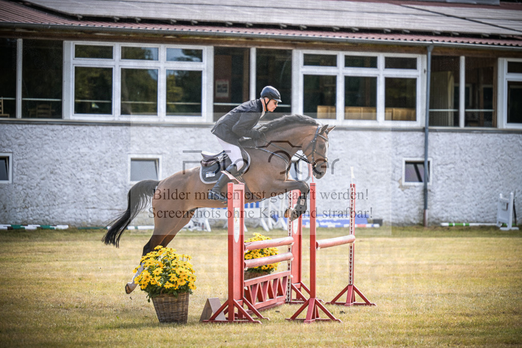 DOS_0929 | Entdecke hochwertige Reitturnierfotos von Foto Oger. Professionell, emotional und authentisch – jetzt Lieblingsmomente im Shop bestellen.Deutschlandweite Turnierfotografie. - Realisiert mit Pictrs.com