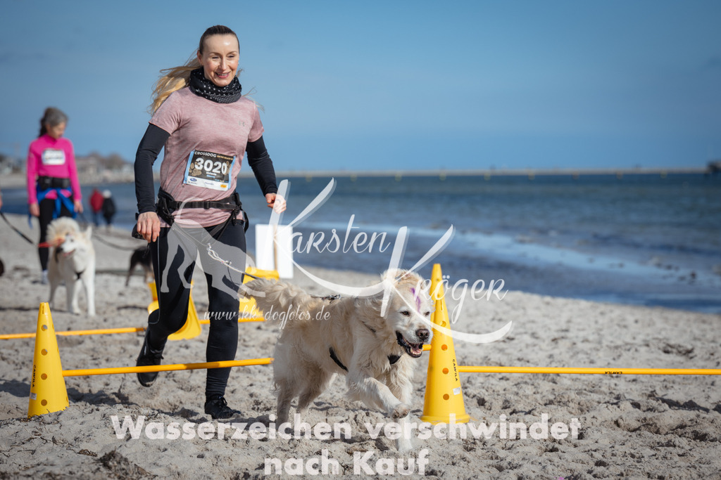 1345_ZZ93270 | kk-dogfotos