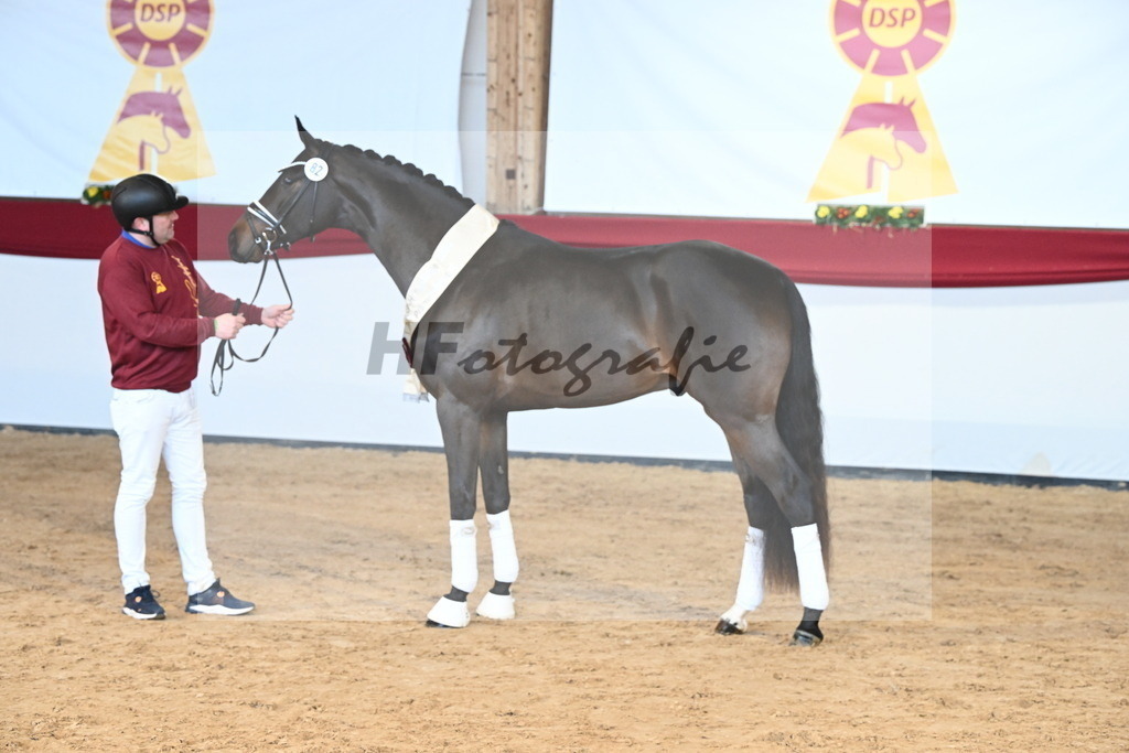 Kat.-Nr. 82 v. Von Und Zu_Berger_2242978 | hf-fotografie - Realisiert mit Pictrs.com