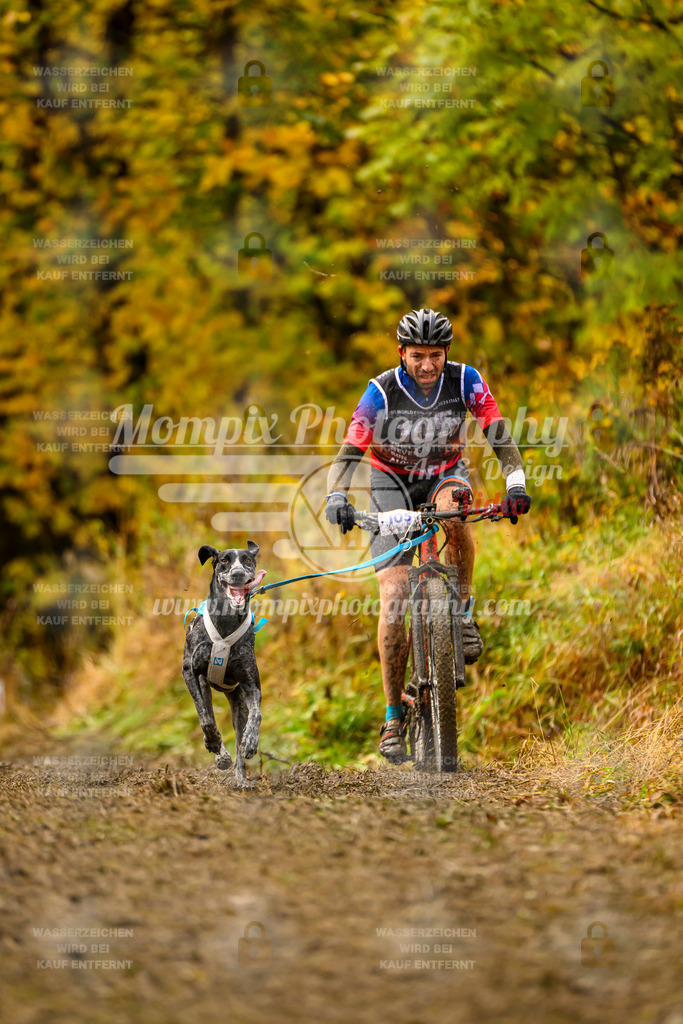 MompixPhotography_ICF_WC_2024_SA_Bike_-70 | PayLife